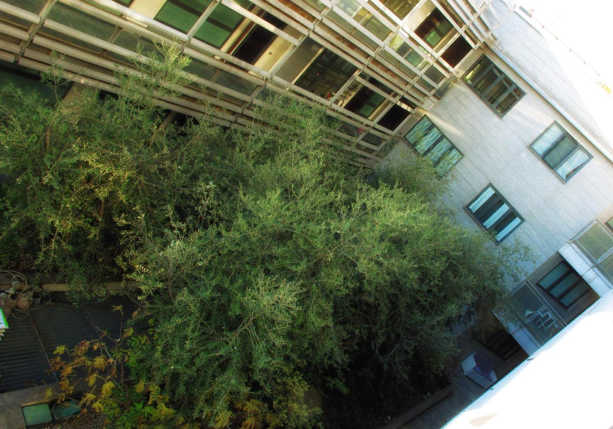 Caseospitali - Casa Navigli Watt, Vicino Al Naviglio, Originale E Luminoso Bilocale Per 4 Con Tutti I Comfort Milano Exteriör bild